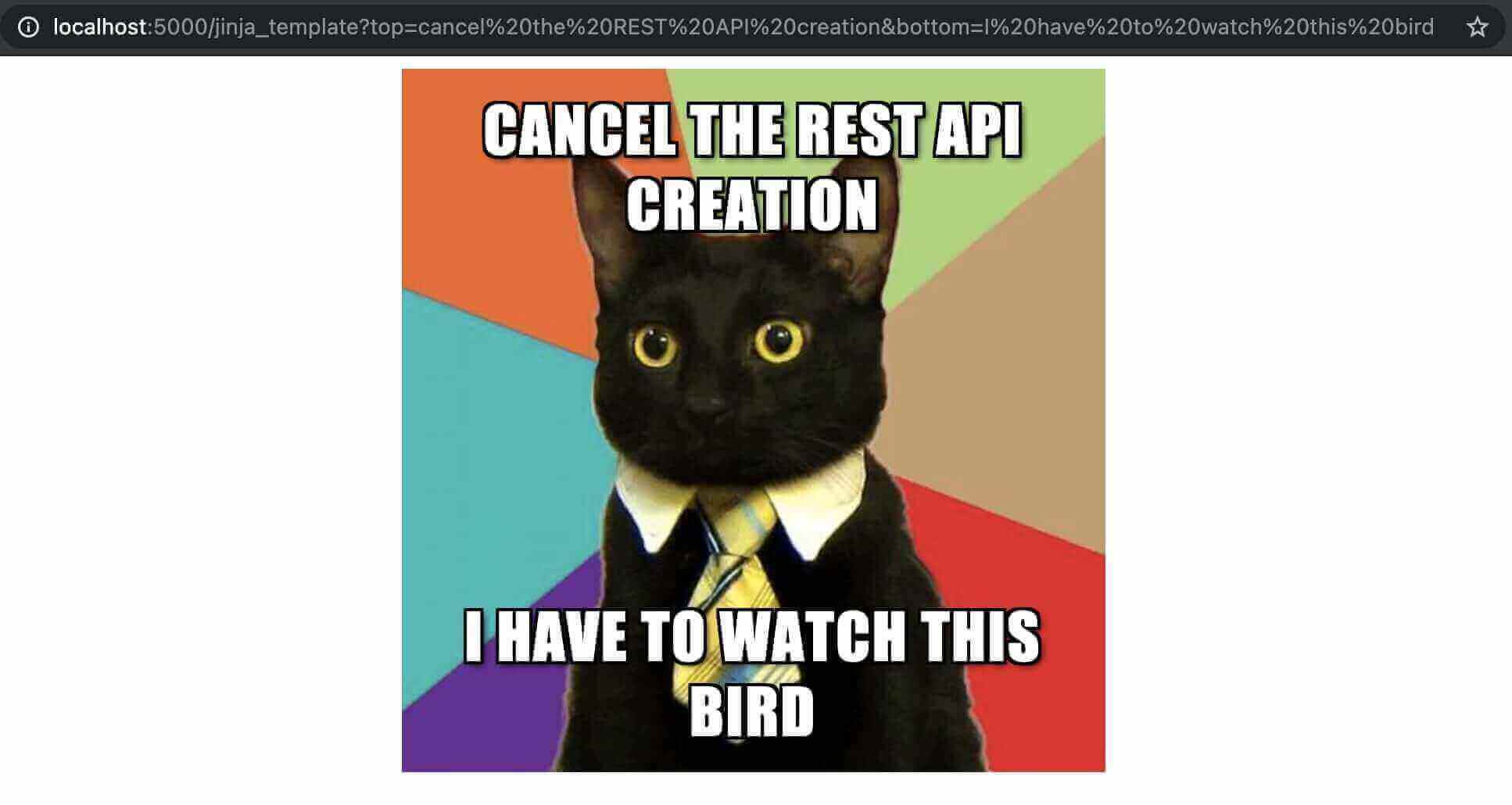 Screenshot of a meme showing a black cat with a yellow necktie with the message "Cancel the Rest API creation, I have to watch this bird" indicating an error.