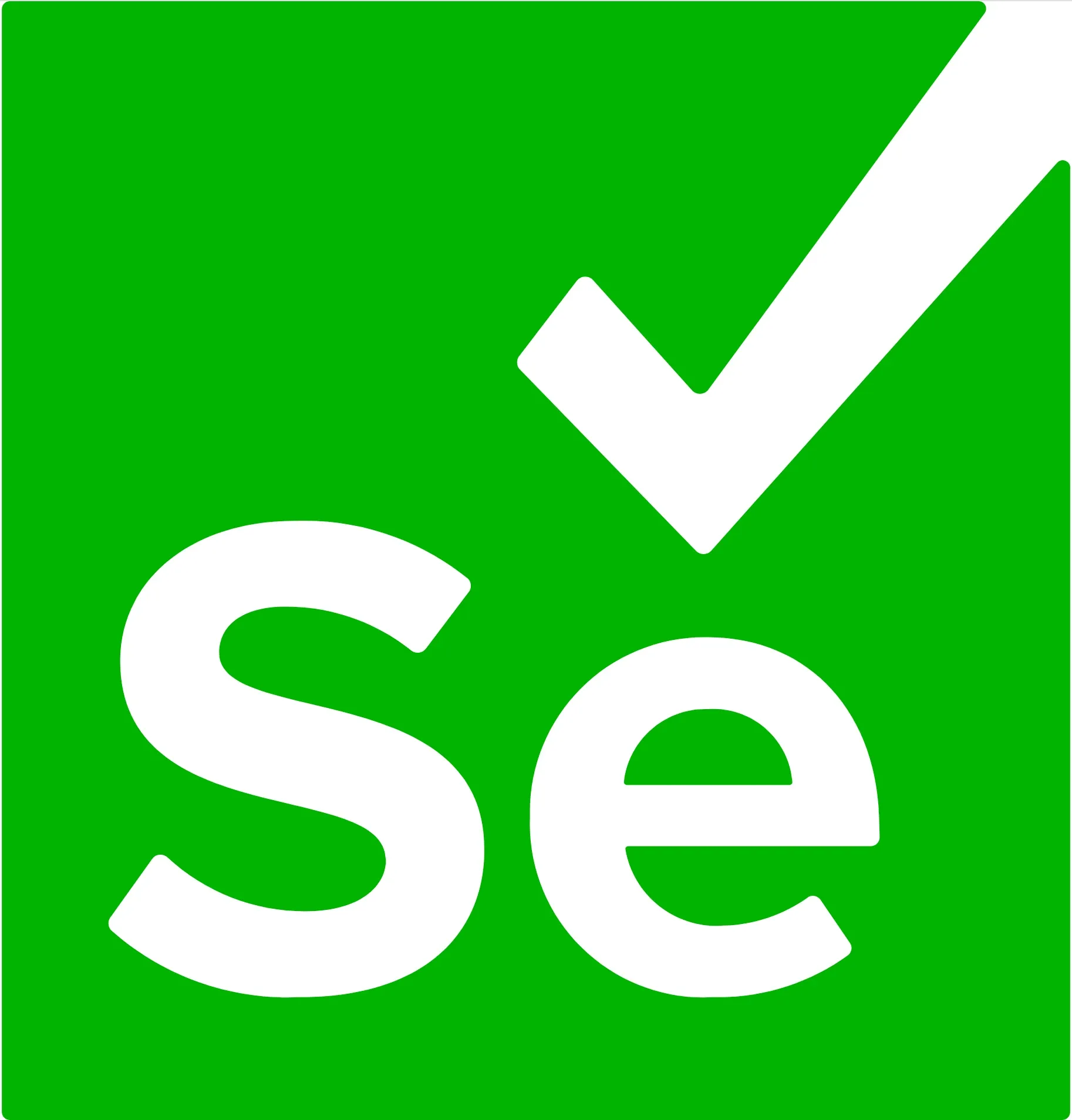 Selenium automation testing tool