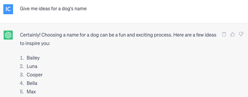 ChatGPT prompt asking for suggestions for a dog's name